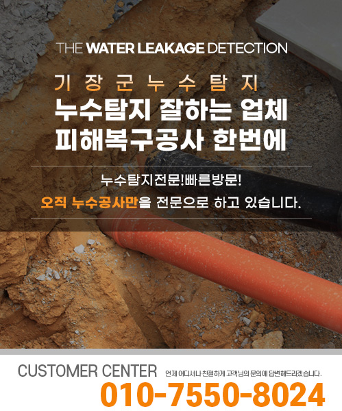 누수탐지 잘하는 업체 피해복구공사 한번에 모바일 비주얼 0